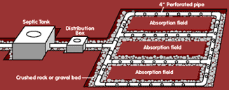 septic system diagram