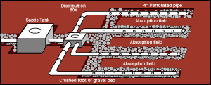 Absorption System - Drainfield with individual trenches