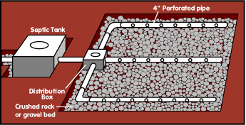 Septic-Scrub, The Septic Solution, Septic Drainfield, Septic Drainfield Failure, Drainfield Failure